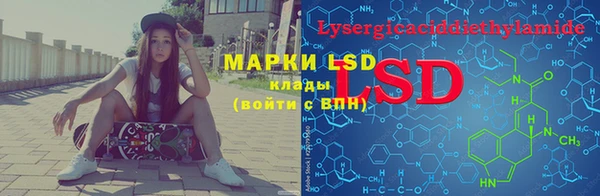 прущие грибы Алзамай