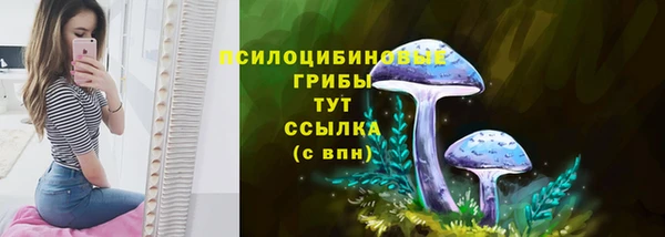 хмурый Алексин