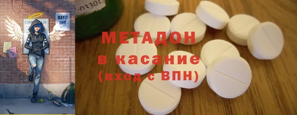 прущие грибы Алзамай