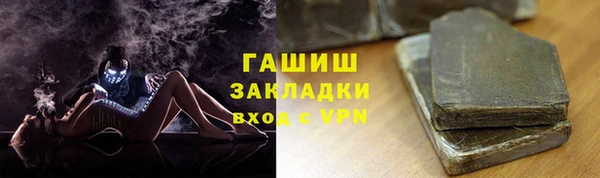 хмурый Алексин
