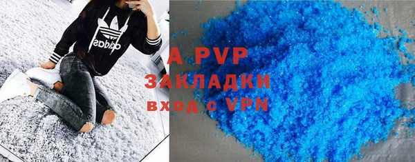 хмурый Алексин