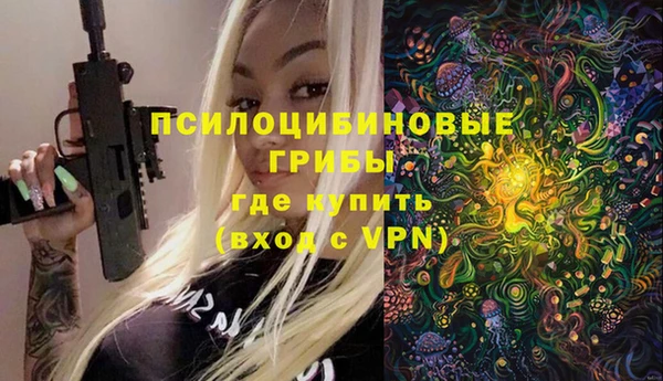хмурый Алексин