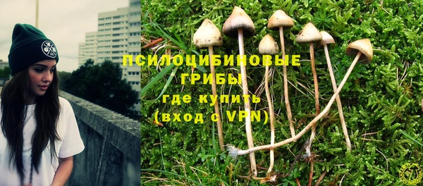 хмурый Алексин