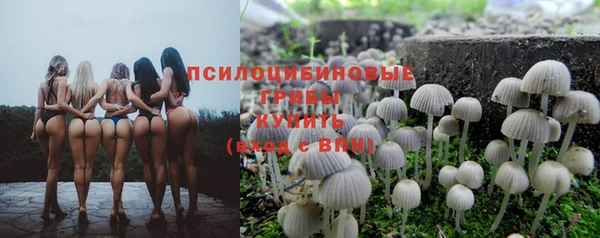 хмурый Алексин