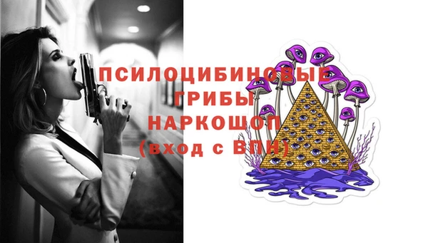 прущие грибы Алзамай