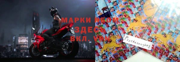 хмурый Алексин