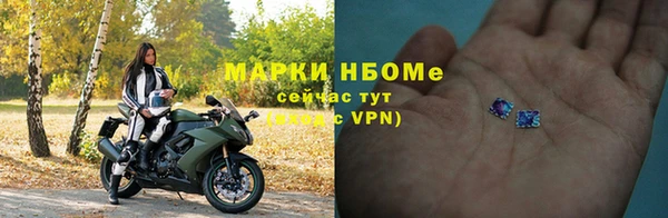 прущие грибы Алзамай