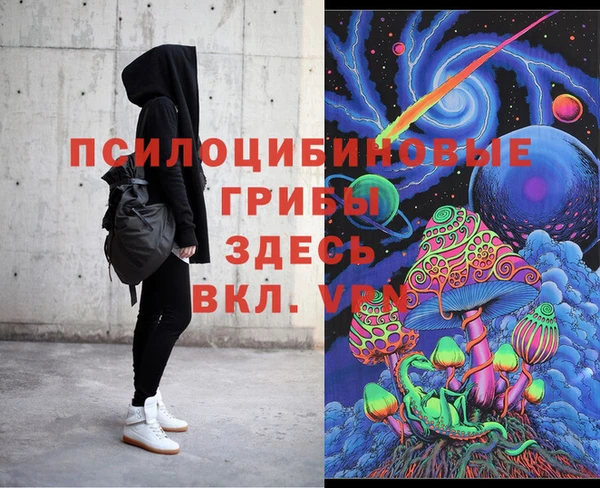 прущие грибы Алзамай
