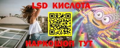 дмт Славгород