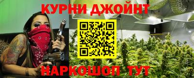мяу мяу мука Гатчина