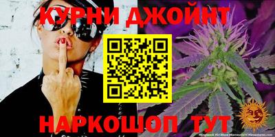 МДПВ Гай