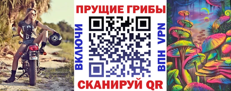 Псилоцибиновые грибы Psilocybine cubensis Миасс