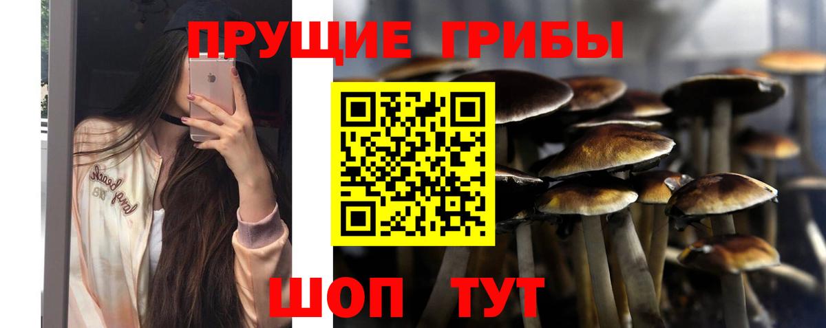 Псилоцибиновые грибы ЛСД Миасс
